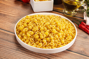 Italian cuisine - dry conchiglie pasta