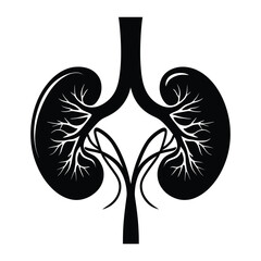 A stylized, black and white illustration of a human kidney system.