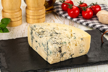 Gourmet blue cheese with mold