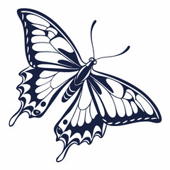 creative silhouette butterfly icon vector illustration
