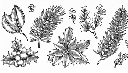 Christmas plant leaf, flower vintage set. Hand drawn doodle sketch holly floral, xmas tree leaves, winter branch elements. Holiday decoration, floral wreath sketch doodle. Vector