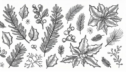 Christmas plant leaf, flower vintage set. Hand drawn doodle sketch holly floral, xmas tree leaves, winter branch elements. Holiday decoration, floral wreath sketch doodle. Vector