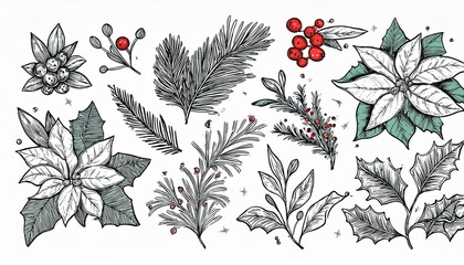 Christmas plant leaf, flower vintage set. Hand drawn doodle sketch holly floral, xmas tree leaves, winter branch elements. Holiday decoration, floral wreath sketch doodle. Vector