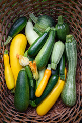 Fresh different kind zucchini and squash in wicker basket close up. Food photography