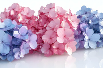 Obraz premium Colorful Hydrangea Bouquet Against White Background