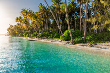 Paradise beach with palm trees and sunrise sunshine on tropical island. Travel vacation destination.
