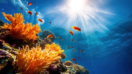Naklejka premium A vibrant underwater scene featuring colorful coral reefs and various fish swimming gracefully. Sunlight filters through the water, creating a stunning visual effect.