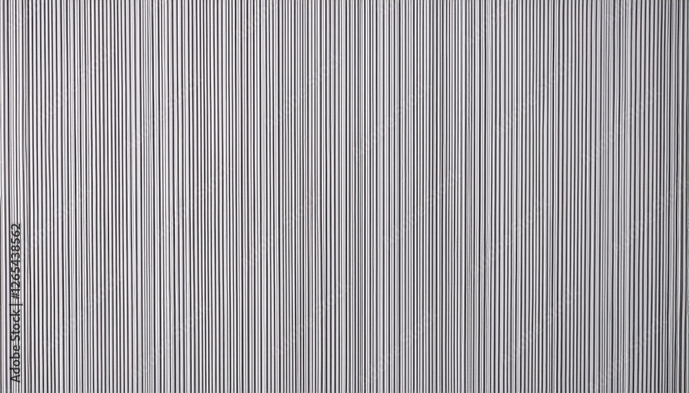 Poster abstract pattern of vertical black and white striped lines with textured details, ideal for modern interior design or background
