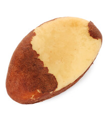 One tasty Brazil nut isolated on white