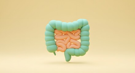 Cartoon Intestine Illustration for Educational or Medical Purposes on a Yellow Background