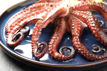 Fried octopus with herb sauce on grey table, closeup