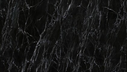 Fototapeta premium black marble texture with white veins, high contrast, luxurious surface for background or interior design