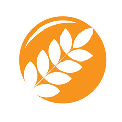 grain rice wheat logo symbol template