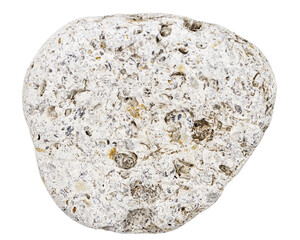 Top view of single gray pebble isolated on white background.