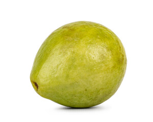 Studio shot of a whole single guava fruit isolated on a white background.