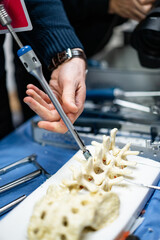 Studying a spine model in lab. A hand holds a tool above a detailed spinal model on a lab table surrounded by various surgical instruments.