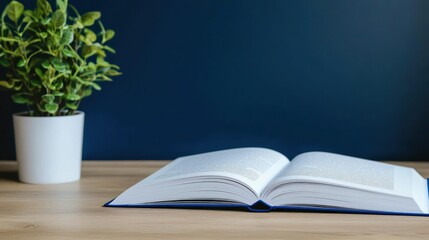 Open Book With Potted Plant On Wooden Desk