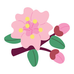 Sakura branch with flowers. Japanese cherry blossom. Hanami holiday. Spring botanical pink trees.