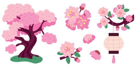 Set of sakura tree, twig, petal, flowers. Branch with Chinese national lantern. Japanese cherry blossom. Hanami holiday. Spring botanical pink trees.