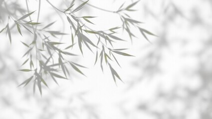 Abstract shadows of delicate bamboo leaves dancing on a clean white background, evoking a sense of Zen and tranquility.