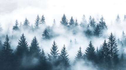 Misty Forest Landscape Enveloped In Foggy Clouds
