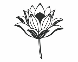 A vector of a flower