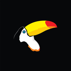 toucan bird