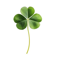 A fresh vibrant green four-leaf clover isolated transparent background
