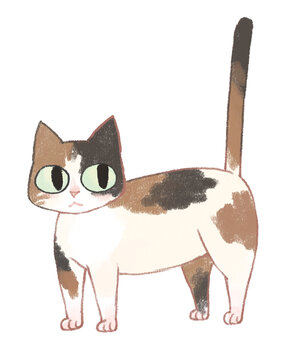 고양이_猫(cat)