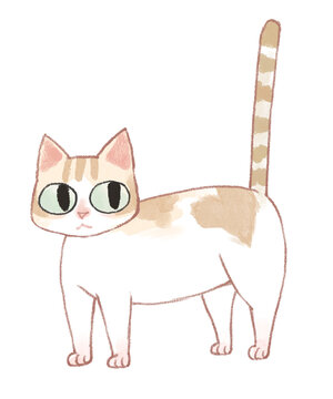 猫_고양이cat01