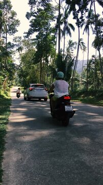 A road in the middle of the jungle where cars and motorcycles are moving in both directions
