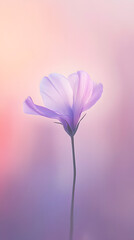 Obraz premium A lavender flower with a soft, pastel background 