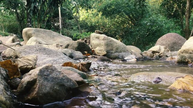 A shallow stream flows through the sand and rocks in the jungle