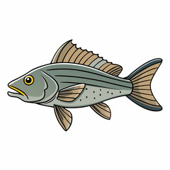 vector illustration of fish
