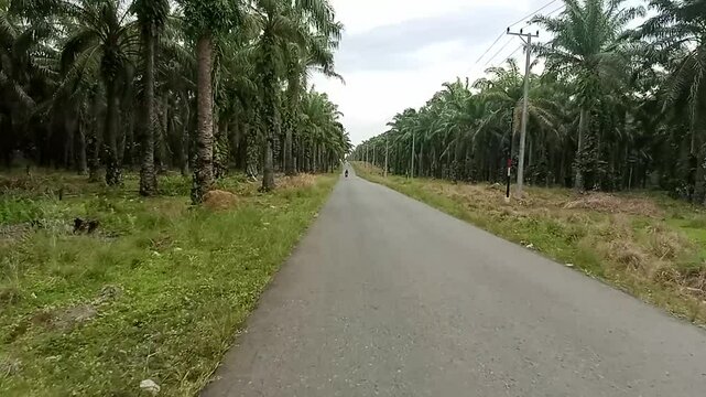 Village Road to Angsana Beach Tanah Bumbu South Kalimantan Indonesia 