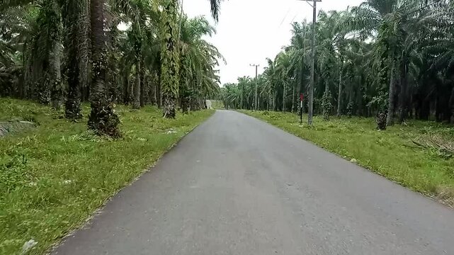 Village Road to Angsana Beach Tourism, Tanah Bumbu, South Kalimantan, Indonesia 