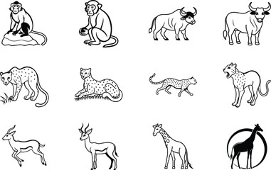 African Wildlife Monkeys, Cheetahs, Antelopes, Giraffes, and Buffalo
