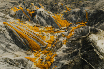 Aerial View of Yellow Flowers in Gray Mountains