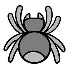 spider icon
