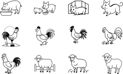 Farm Animals Illustrations Pigs, Chickens, Sheep, Barns, and Feeding