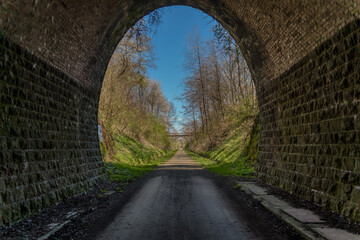 Naklejka premium The old railway tunnel