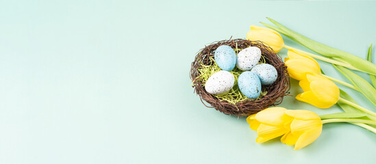 Colored easter eggs in a bird wicker nest, yellow tulip flowers, holiday greeting card, spring season background 