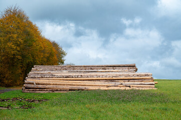 Chopped tree logs pilled up next to a forest, lumber wood industry, environmental, renewable energy, timber and deforestation 