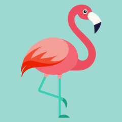 flamingo vector illustration