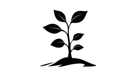 Young plant seedling growth, soil, white background; eco concept