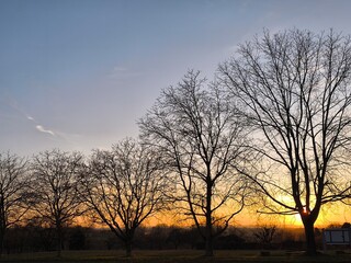 Sunset behind the old walnut tree