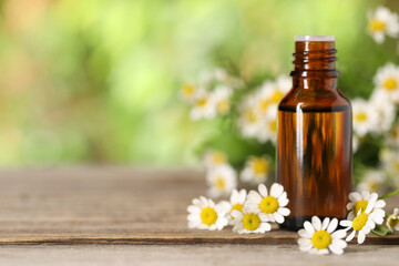 Bottle of essential oil and chamomile flowers on wooden table. Space for text