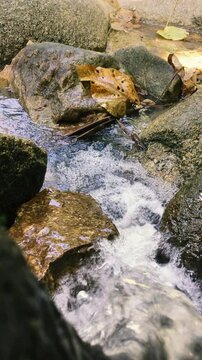 Close-up shot of a stormy stream stream