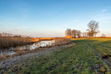 Łąki i drzewa w porannym słońcu, Podlasie, Polska © podlaski49