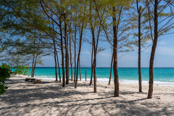 Trees on beach on Bamboo Island or Ko Mai Phai is small island in Thailand, located between Krabi coast and Phi Phi Islands, Adaman sea